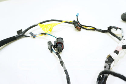 Tesla Model 3 2017-2022 OEM Rear Left Hand Door Wiring Harness 1067965-90-D