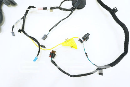 Tesla Model 3 2017-2022 OEM Rear Left Hand Door Wiring Harness 1067965-90-D